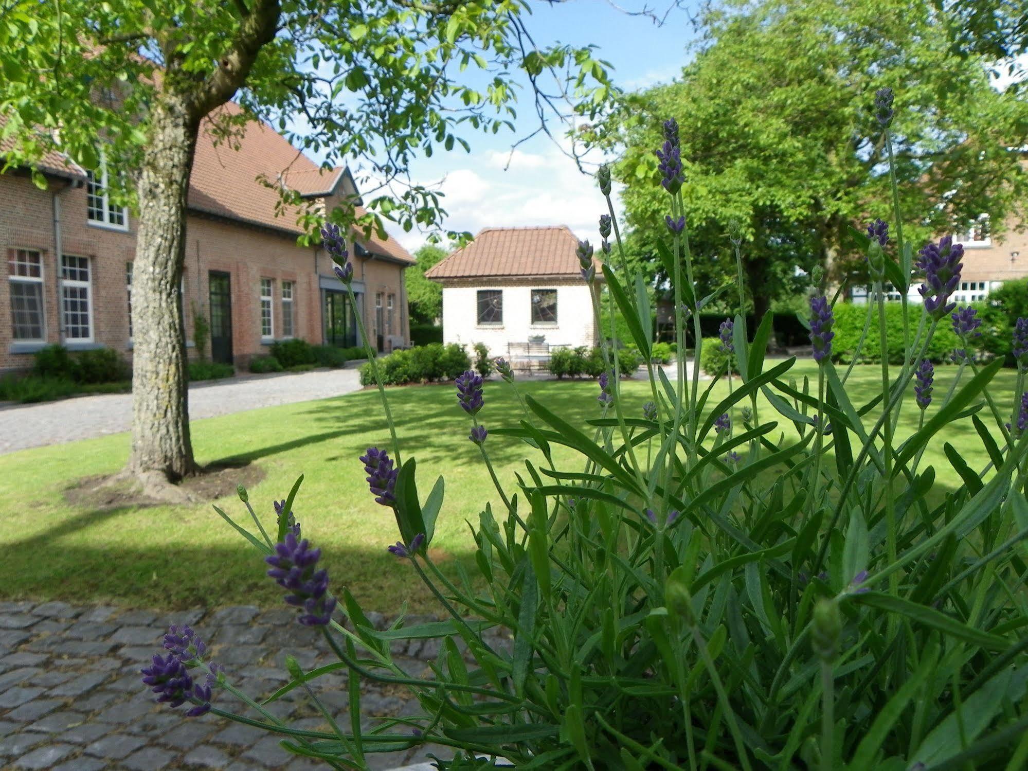Hotel B - Boskapelhoeve Buggenhout Kültér fotó